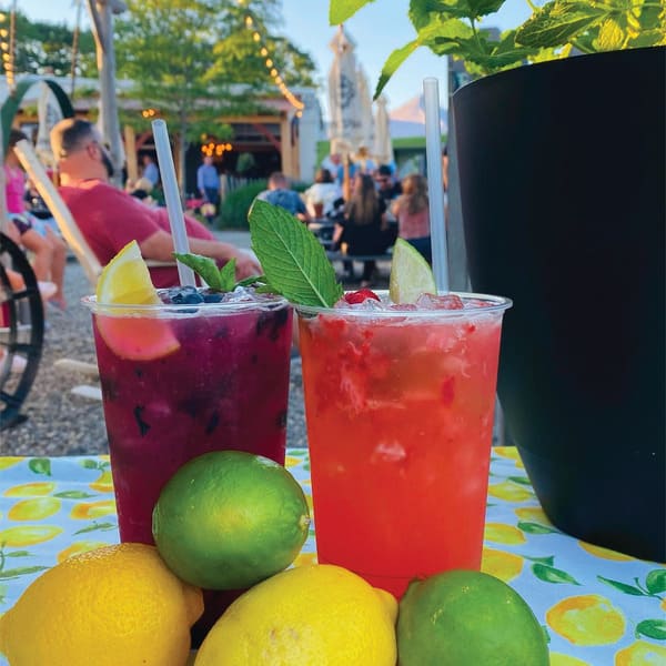 Blueberry Lemonade and Watermelon Lemonade